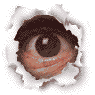 eyes.gif (6332 Byte)