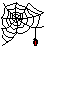 spider.gif (5277 Byte)